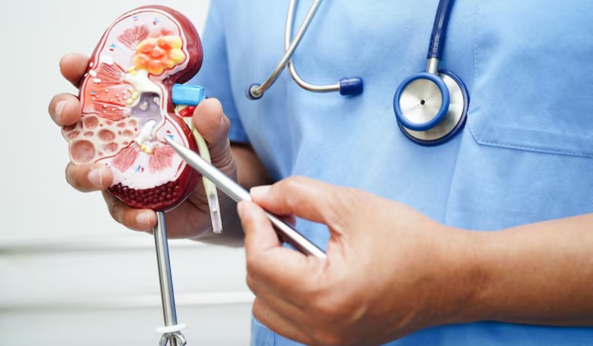 Kidney Doctor Drops 40 Kg With Just One Rule